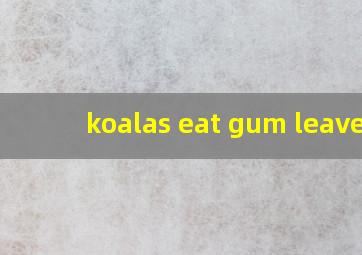 koalas eat gum leaves